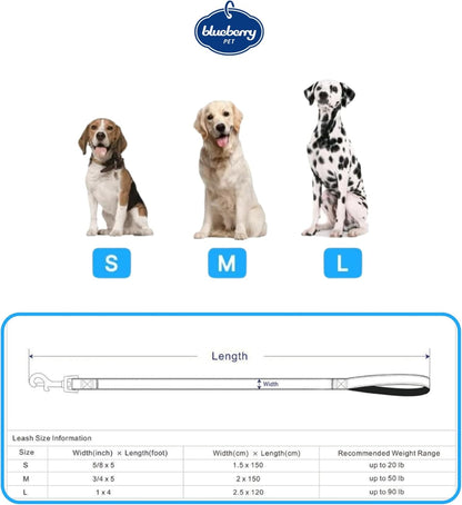 Reflective Dog Leash for Active Adventures, Puppy Essentials, Durable Leashes Heavy Duty, Gentle Leader for Dogs, Small Sizes, Violet & Celeste - pet needs705353145087Reflective Dog Leash for Active Adventures, Puppy Essentials, Durable Leashes Heavy Duty, Gentle Leader for Dogs, Small Sizes, Violet & Celestepet needs