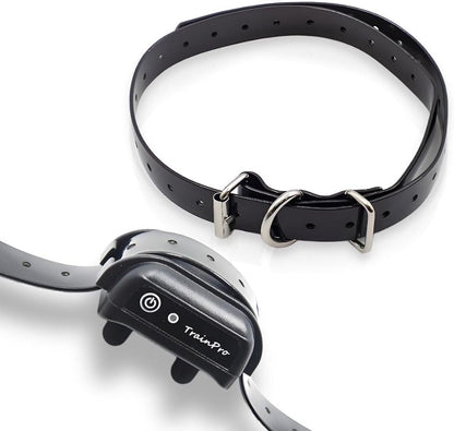 Replacement ¾” Dog Collar Strap Bands with Double Buckle Loop Training for All Brands of Pet Shock Bark E Collars and Fences. - pet needs7445039080006Replacement ¾” Dog Collar Strap Bands with Double Buckle Loop Training for All Brands of Pet Shock Bark E Collars and Fences.Blackpet needs