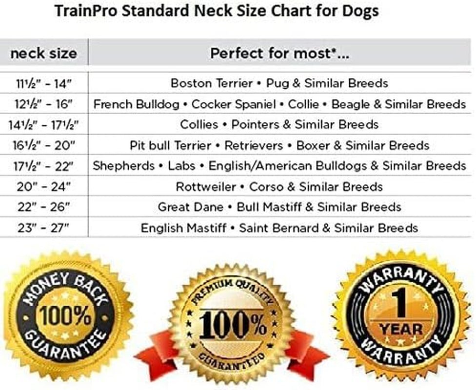 Replacement ¾” Dog Collar Strap Bands with Double Buckle Loop Training for All Brands of Pet Shock Bark E Collars and Fences. - pet needs7445039080006Replacement ¾” Dog Collar Strap Bands with Double Buckle Loop Training for All Brands of Pet Shock Bark E Collars and Fences.Blackpet needs
