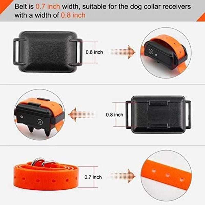Replacement ¾” Dog Collar Strap Bands with Double Buckle Loop Training for All Brands of Pet Shock Bark E Collars and Fences. - pet needs7445039080006Replacement ¾” Dog Collar Strap Bands with Double Buckle Loop Training for All Brands of Pet Shock Bark E Collars and Fences.Blackpet needs