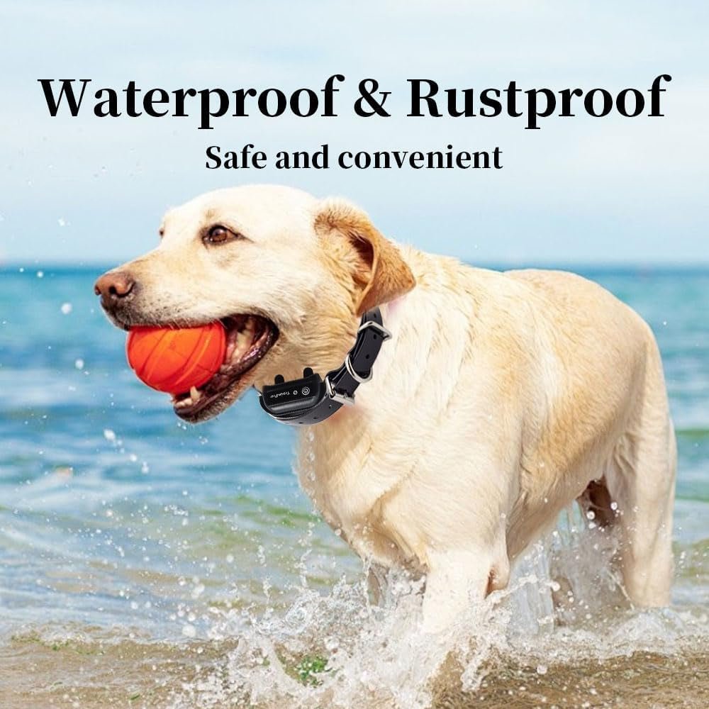 Replacement ¾” Dog Collar Strap Bands with Double Buckle Loop Training for All Brands of Pet Shock Bark E Collars and Fences. - pet needs7445039080006Replacement ¾” Dog Collar Strap Bands with Double Buckle Loop Training for All Brands of Pet Shock Bark E Collars and Fences.Blackpet needs