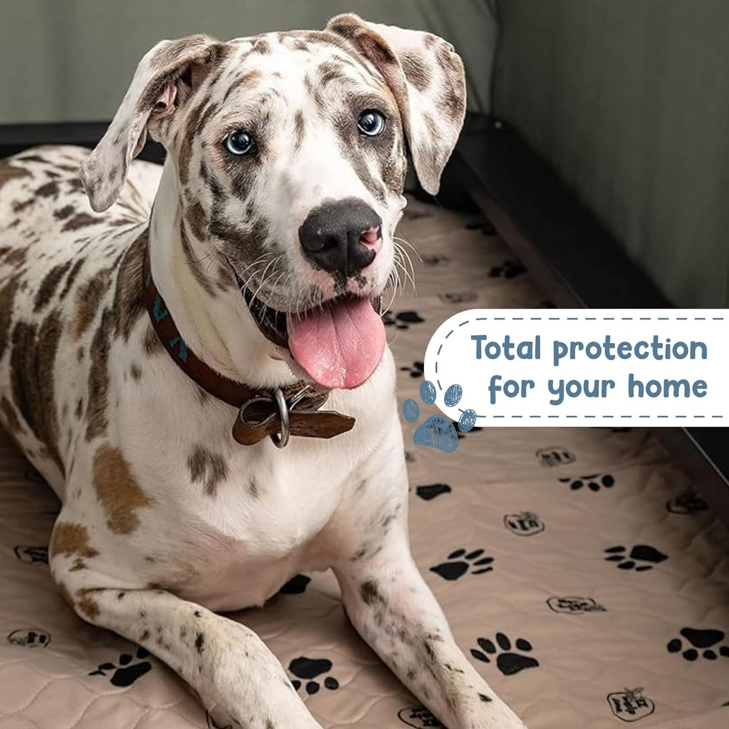 Reusable Dog Pee Pads, Washable Waterproof Mats for Potty Training or Whelping Pads, Puppy Pad with Rounded Corners, 24X36 Inch, 2 Pack - pet needs313051325320Reusable Dog Pee Pads, Washable Waterproof Mats for Potty Training or Whelping Pads, Puppy Pad with Rounded Corners, 24X36 Inch, 2 Pack24X36 Inchpet needs