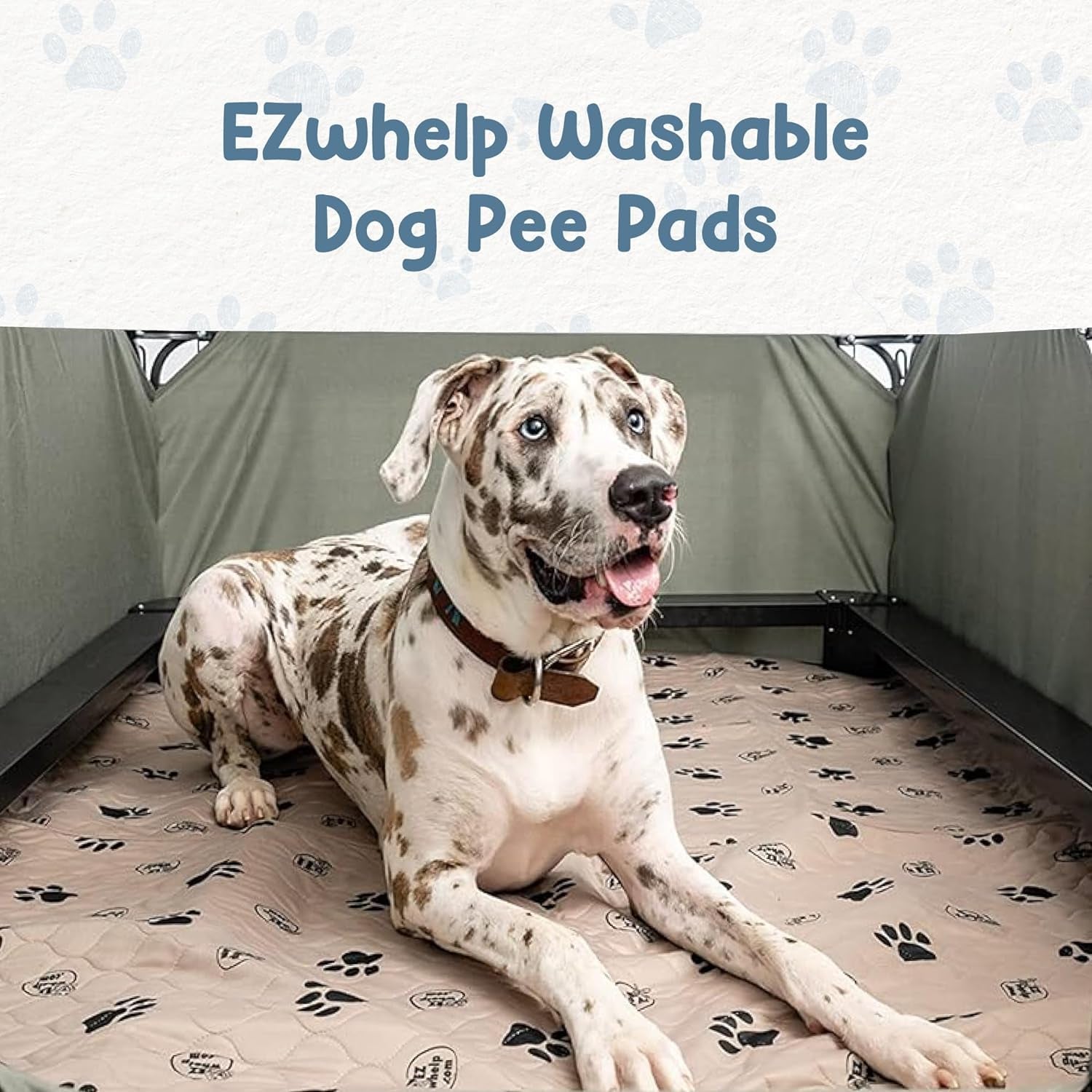 Reusable Dog Pee Pads, Washable Waterproof Mats for Potty Training or Whelping Pads, Puppy Pad with Rounded Corners, 24X36 Inch, 2 Pack - pet needs313051325320Reusable Dog Pee Pads, Washable Waterproof Mats for Potty Training or Whelping Pads, Puppy Pad with Rounded Corners, 24X36 Inch, 2 Pack24X36 Inchpet needs