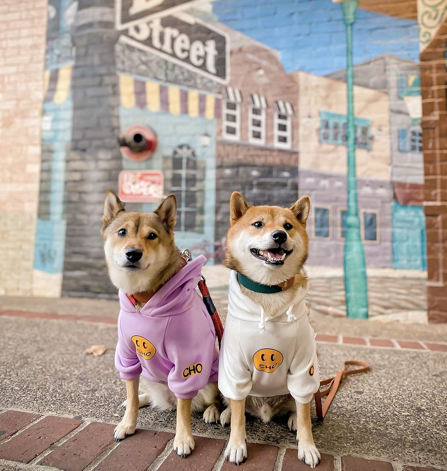 Smiley Dog Hoodie Stylish Dog Clothes Smiley Face Sweater Cotton Sweatshirt Fashion Outfit for Dogs Cats Puppy Small Medium Large (S, White) - pet needs705353195587Smiley Dog Hoodie Stylish Dog Clothes Smiley Face Sweater Cotton Sweatshirt Fashion Outfit for Dogs Cats Puppy Small Medium Large (S, White)Smiley - WhiteS (Chest: 9.8'' - 13.8'' / Suggest: 2 - 5 Lbs)S (Chest: 9.8'' - 13.8'' / Suggest: 2 - 5 Lbs)pet needs