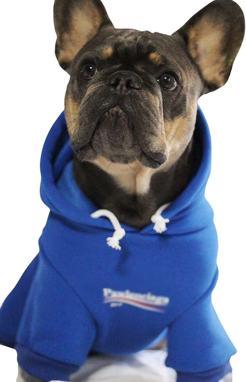 Stylish Streetwear Blue Dog Sweatshirt Tracksuits, Cats Hoodies, Dog Outfit for Cat Puppy Small Medium (3XL) - pet needs726084910201Stylish Streetwear Blue Dog Sweatshirt Tracksuits, Cats Hoodies, Dog Outfit for Cat Puppy Small Medium (3XL)Pawlenciaga3Xl (Chest: 23.6'' - 28'' / Suggest: 30 - 55 Lbs)3Xl (Chest: 23.6'' - 28'' / Suggest: 30 - 55 Lbs)pet needs