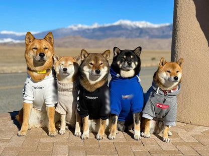 Stylish Streetwear Blue Dog Sweatshirt Tracksuits, Cats Hoodies, Dog Outfit for Cat Puppy Small Medium (3XL) - pet needs726084910201Stylish Streetwear Blue Dog Sweatshirt Tracksuits, Cats Hoodies, Dog Outfit for Cat Puppy Small Medium (3XL)Pawlenciaga3Xl (Chest: 23.6'' - 28'' / Suggest: 30 - 55 Lbs)3Xl (Chest: 23.6'' - 28'' / Suggest: 30 - 55 Lbs)pet needs