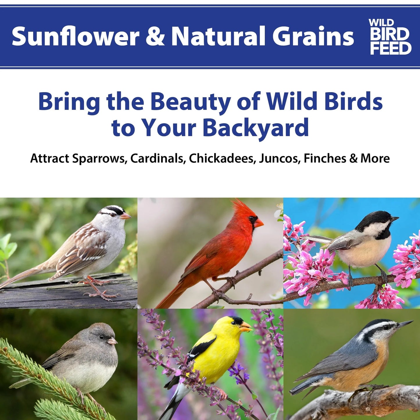 Sunflower & Natural Grains Wild Bird Feed, 5 Lb - pet needs726084243941Sunflower & Natural Grains Wild Bird Feed, 5 Lb5 LbsSingleSinglepet needs