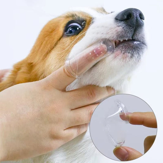 Super Soft Pet Finger Toothbrush Teddy Dog Brush Bad Breath Tartar Teeth Care Tool Dog Cat Cleaning Silicagel Pet Supplies - pet needs7445030660665Super Soft Pet Finger Toothbrush Teddy Dog Brush Bad Breath Tartar Teeth Care Tool Dog Cat Cleaning Silicagel Pet SuppliesSingle Brushpet needs