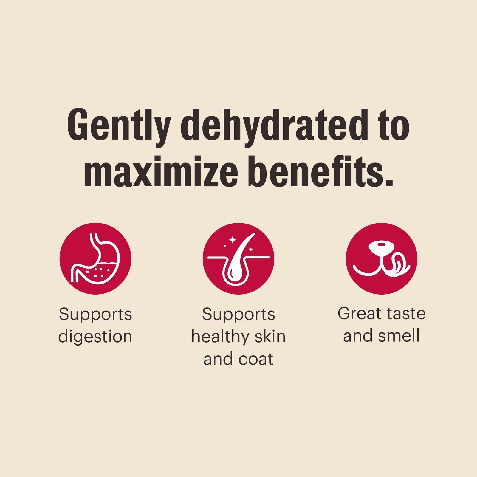 The Honest Kitchen Whole Grain Dog Food Human Grade Chicken 2 Lb Makes 8 Lbs - pet needs744110231908The Honest Kitchen Whole Grain Dog Food Human Grade Chicken 2 Lb Makes 8 Lbspet needs