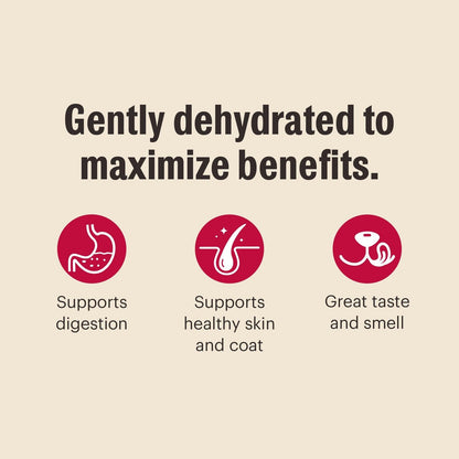 The Honest Kitchen Whole Grain Dog Food Human Grade Chicken 2 Lb Makes 8 Lbs - pet needs744110231908The Honest Kitchen Whole Grain Dog Food Human Grade Chicken 2 Lb Makes 8 Lbspet needs