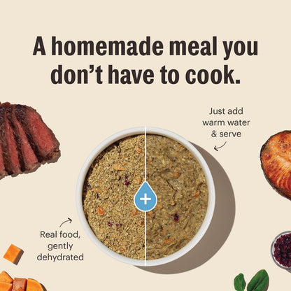 The Honest Kitchen Whole Grain Dog Food Human Grade Chicken 2 Lb Makes 8 Lbs - pet needs744110231908The Honest Kitchen Whole Grain Dog Food Human Grade Chicken 2 Lb Makes 8 Lbspet needs