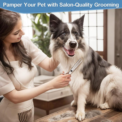 Titanium Coated Professional 6 in 1 4CR Stainless Steel Dog Grooming Scissors with Safety round Tip, Heavy Duty Pet Grooming Scissor for Dogs, Cats and Other Animals - pet needs744759724557Titanium Coated Professional 6 in 1 4CR Stainless Steel Dog Grooming Scissors with Safety round Tip, Heavy Duty Pet Grooming Scissor for Dogs, Cats and Other AnimalsProfessional Blue 6 In 1pet needs