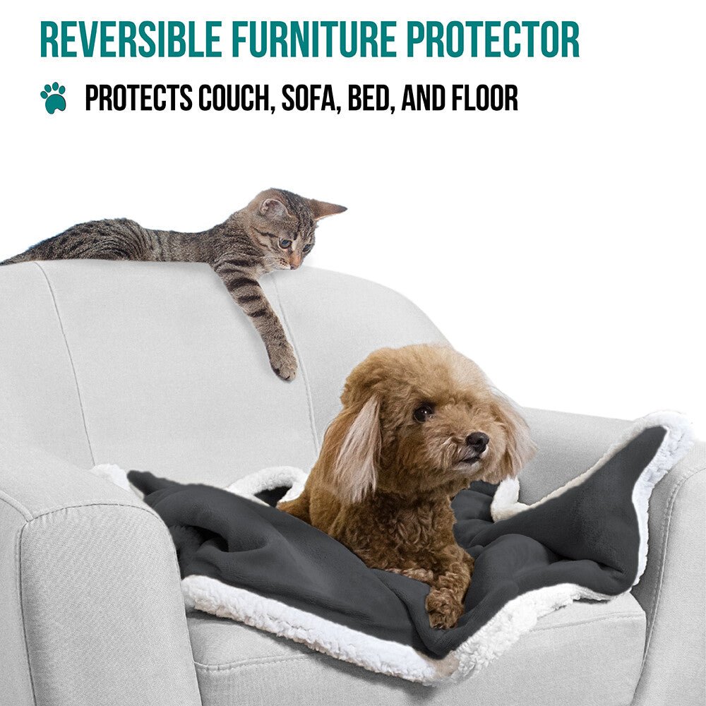 Washable Pet Blanket Fleece Dog Cat Bed Soft Sherpa Reversible Dog Blanket Warm - pet needs726084280946Washable Pet Blanket Fleece Dog Cat Bed Soft Sherpa Reversible Dog Blanket WarmCharcoalpet needs