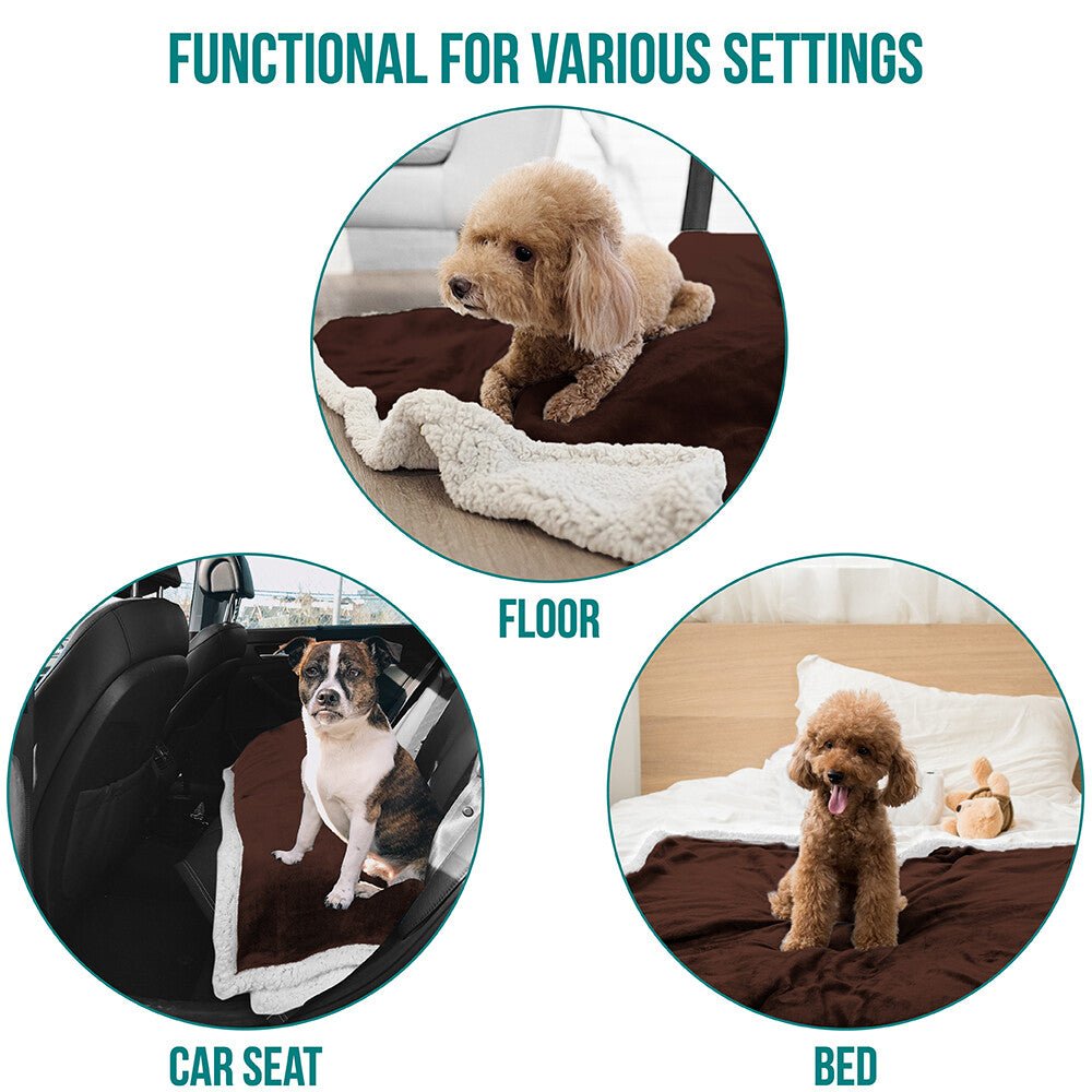 Washable Pet Blanket Fleece Dog Cat Bed Soft Sherpa Reversible Dog Blanket Warm - pet needs705353292569Washable Pet Blanket Fleece Dog Cat Bed Soft Sherpa Reversible Dog Blanket WarmBrownpet needs