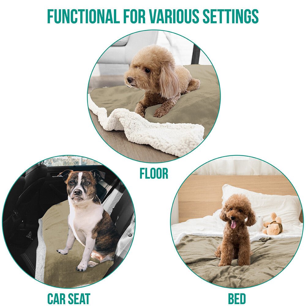 Washable Pet Blanket Fleece Dog Cat Bed Soft Sherpa Reversible Dog Blanket Warm - pet needs744759450814Washable Pet Blanket Fleece Dog Cat Bed Soft Sherpa Reversible Dog Blanket WarmTaupepet needs