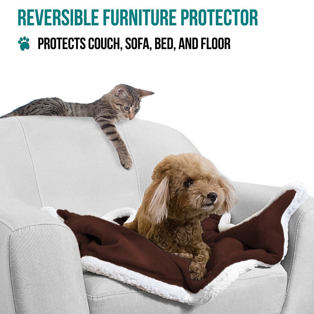 Washable Pet Blanket Fleece Dog Cat Bed Soft Sherpa Reversible Dog Blanket Warm - pet needs705353292569Washable Pet Blanket Fleece Dog Cat Bed Soft Sherpa Reversible Dog Blanket WarmBrownpet needs