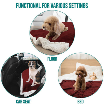 Washable Pet Blanket Fleece Dog Cat Bed Soft Sherpa Reversible Dog Blanket Warm - pet needs711181598834Washable Pet Blanket Fleece Dog Cat Bed Soft Sherpa Reversible Dog Blanket WarmWinepet needs