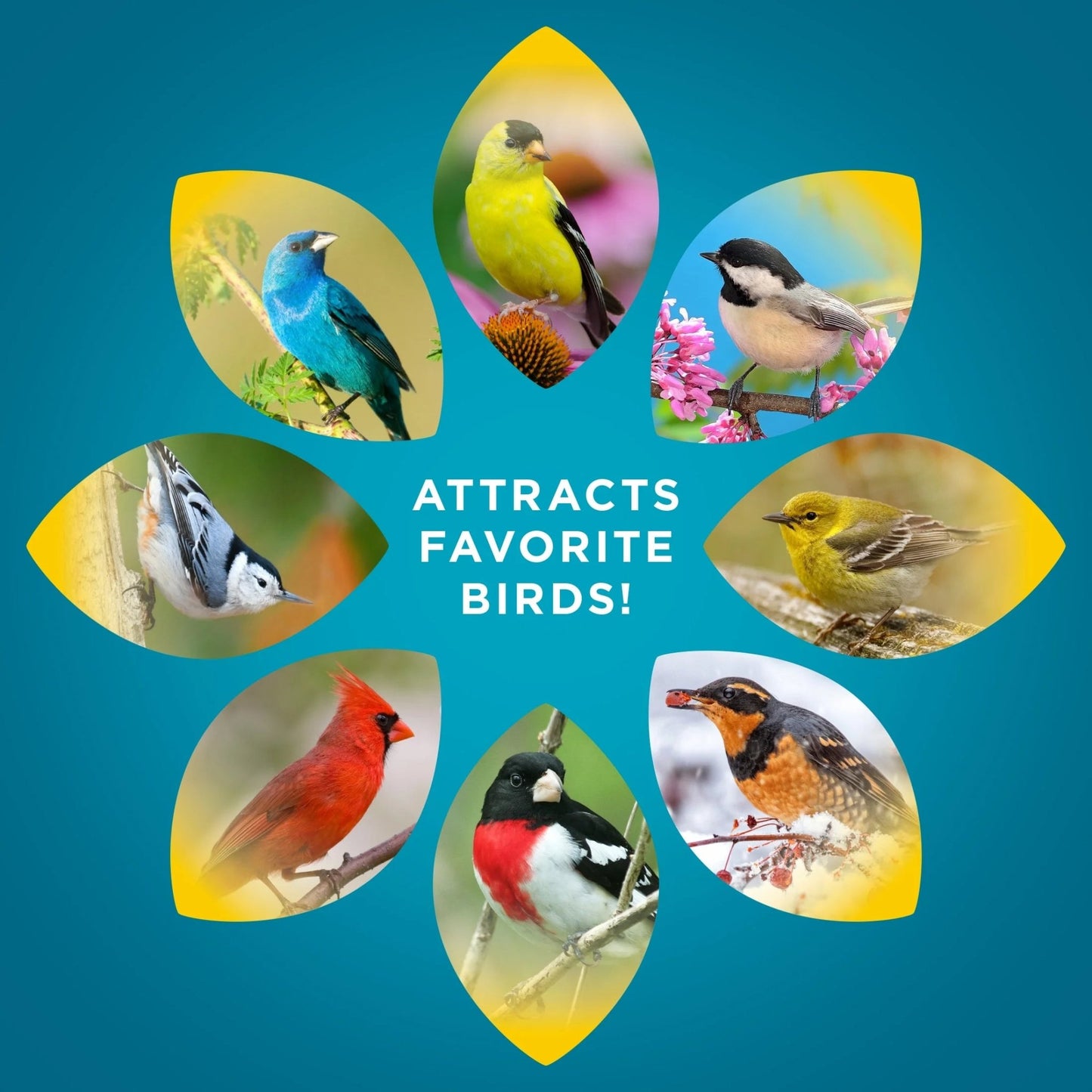 Waste Free Wild Bird Food, Dry, 1 Count per Pack, 15 Lbs. - pet needs711181456714Waste Free Wild Bird Food, Dry, 1 Count per Pack, 15 Lbs.Singlepet needs