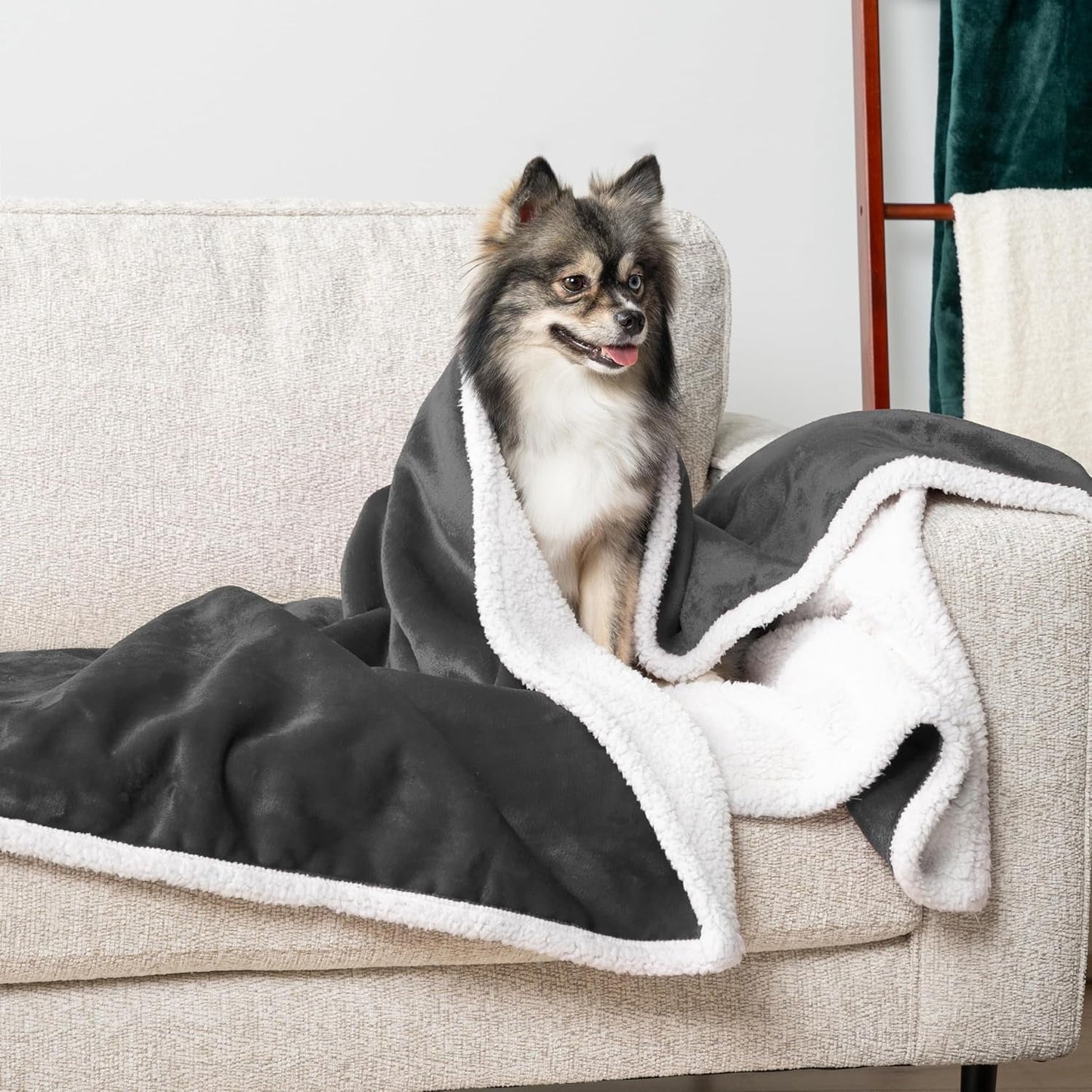 Waterproof Dog Blanket for Small Medium Dog Puppy Cat Throw for Couch Cover Leakproof Protection, Sherpa Fleece, Reversible Soft Washable 29X40 Charcoal Gray - pet needs726084380615Waterproof Dog Blanket for Small Medium Dog Puppy Cat Throw for Couch Cover Leakproof Protection, Sherpa Fleece, Reversible Soft Washable 29X40 Charcoal GrayCharcoalMedium 29 X 40 InchesMedium 29 X 40 Inchespet needs