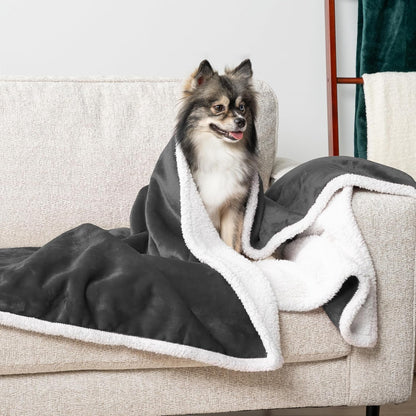 Waterproof Dog Blanket for Small Medium Dog Puppy Cat Throw for Couch Cover Leakproof Protection, Sherpa Fleece, Reversible Soft Washable 29X40 Charcoal Gray - pet needs726084380615Waterproof Dog Blanket for Small Medium Dog Puppy Cat Throw for Couch Cover Leakproof Protection, Sherpa Fleece, Reversible Soft Washable 29X40 Charcoal GrayCharcoalMedium 29 X 40 InchesMedium 29 X 40 Inchespet needs
