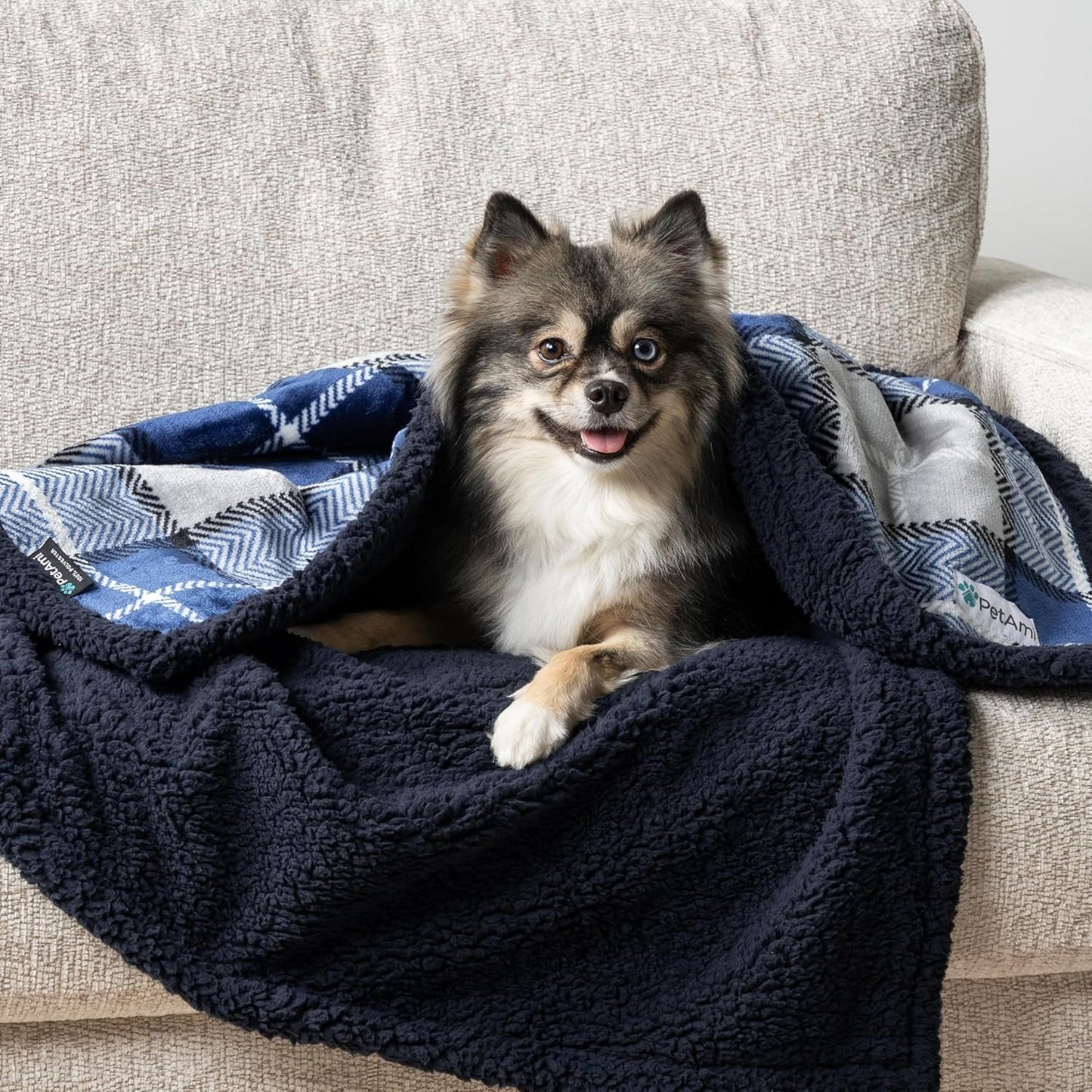 Waterproof Dog Blanket for Small Medium Dog Puppy Cat Throw for Couch Cover Leakproof Protection, Sherpa Fleece, Reversible Soft Washable 29X40 Plaid Navy Blue - pet needs7445003451498Waterproof Dog Blanket for Small Medium Dog Puppy Cat Throw for Couch Cover Leakproof Protection, Sherpa Fleece, Reversible Soft Washable 29X40 Plaid Navy BluePlaid NavyMedium 29 X 40 InchesMedium 29 X 40 Inchespet needs