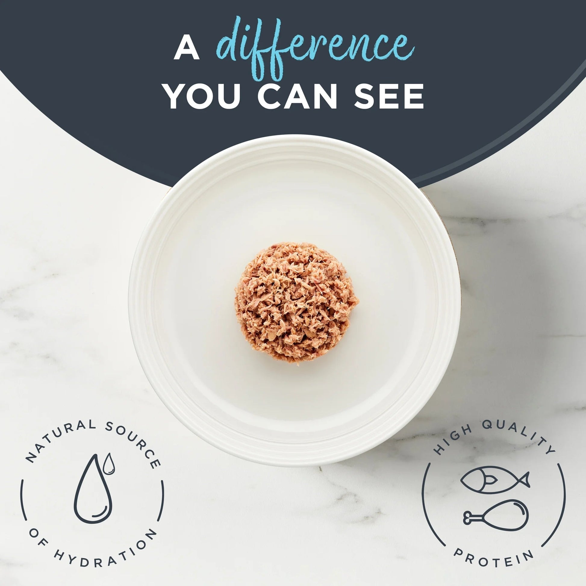 Wet Kitten Food, Tuna Fillet in Broth, 12 Pack of 2.47Oz Cans - pet needs726084459472Wet Kitten Food, Tuna Fillet in Broth, 12 Pack of 2.47Oz Canspet needs