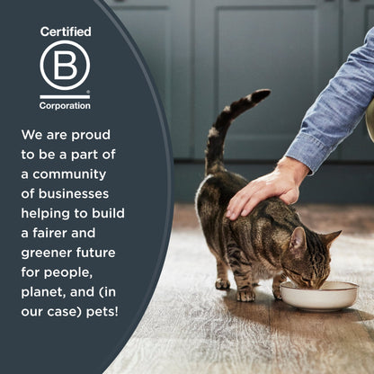 Wet Kitten Food, Tuna Fillet in Broth, 12 Pack of 2.47Oz Cans - pet needs726084459472Wet Kitten Food, Tuna Fillet in Broth, 12 Pack of 2.47Oz Canspet needs