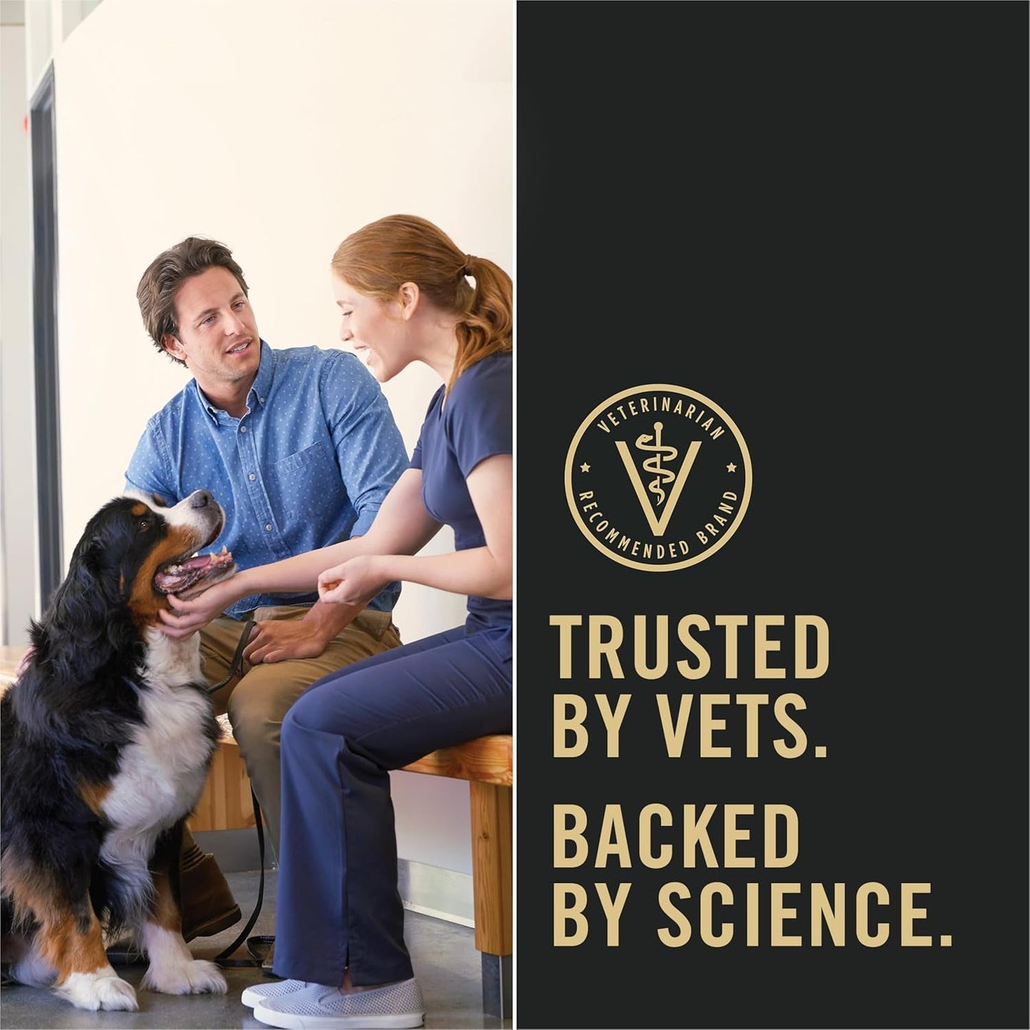 Wet Puppy Food Pate, Wet Food Classic Chicken and Rice Entrée - (Pack of 12) 13 Oz. Cans - pet needs744759309631Wet Puppy Food Pate, Wet Food Classic Chicken and Rice Entrée - (Pack of 12) 13 Oz. CansChicken, Rice13 Ounce (Pack Of 12)13 Ounce (Pack Of 12)pet needs