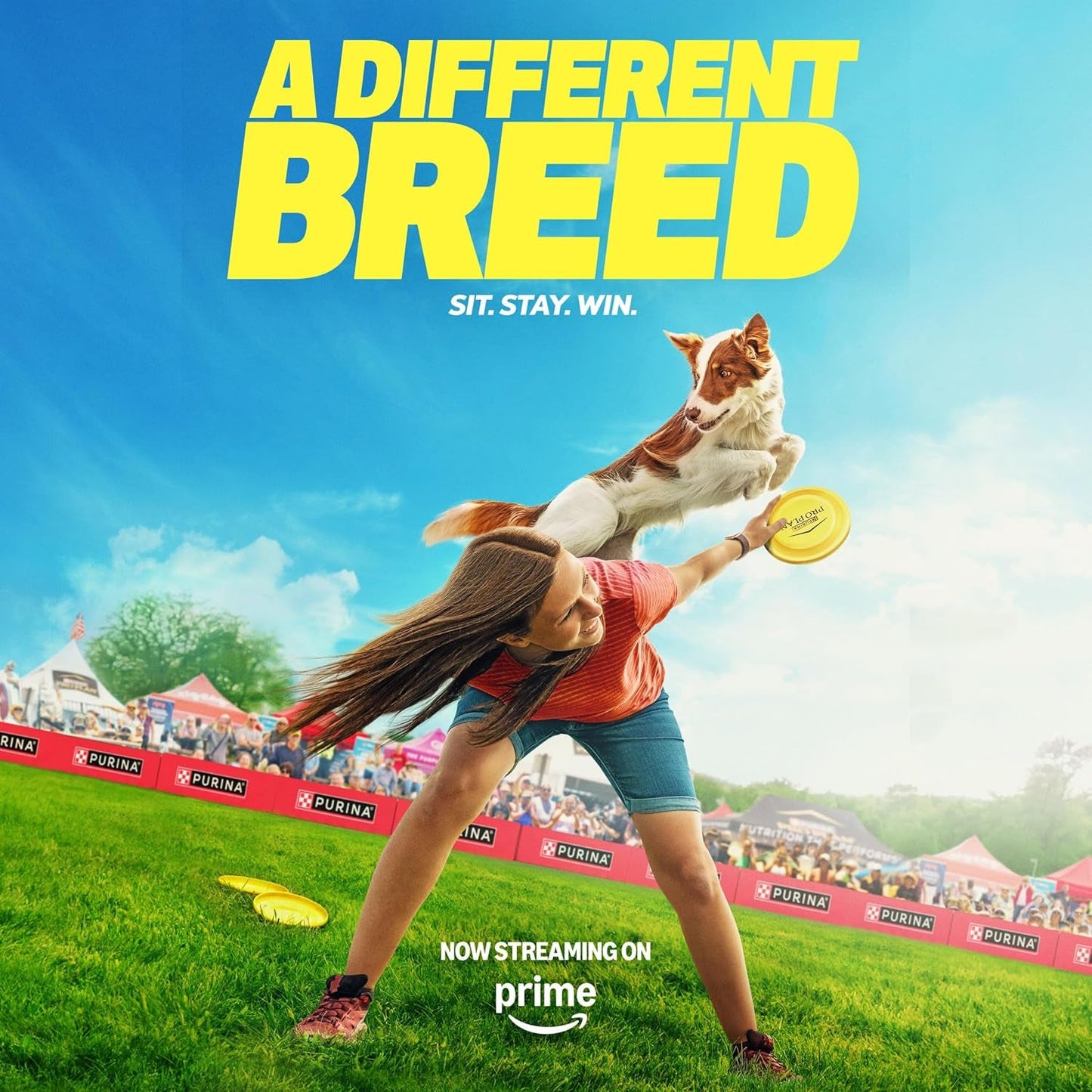 Wet Puppy Food Pate, Wet Food Classic Chicken and Rice Entrée - (Pack of 12) 13 Oz. Cans - pet needs744759309631Wet Puppy Food Pate, Wet Food Classic Chicken and Rice Entrée - (Pack of 12) 13 Oz. CansChicken, Rice13 Ounce (Pack Of 12)13 Ounce (Pack Of 12)pet needs