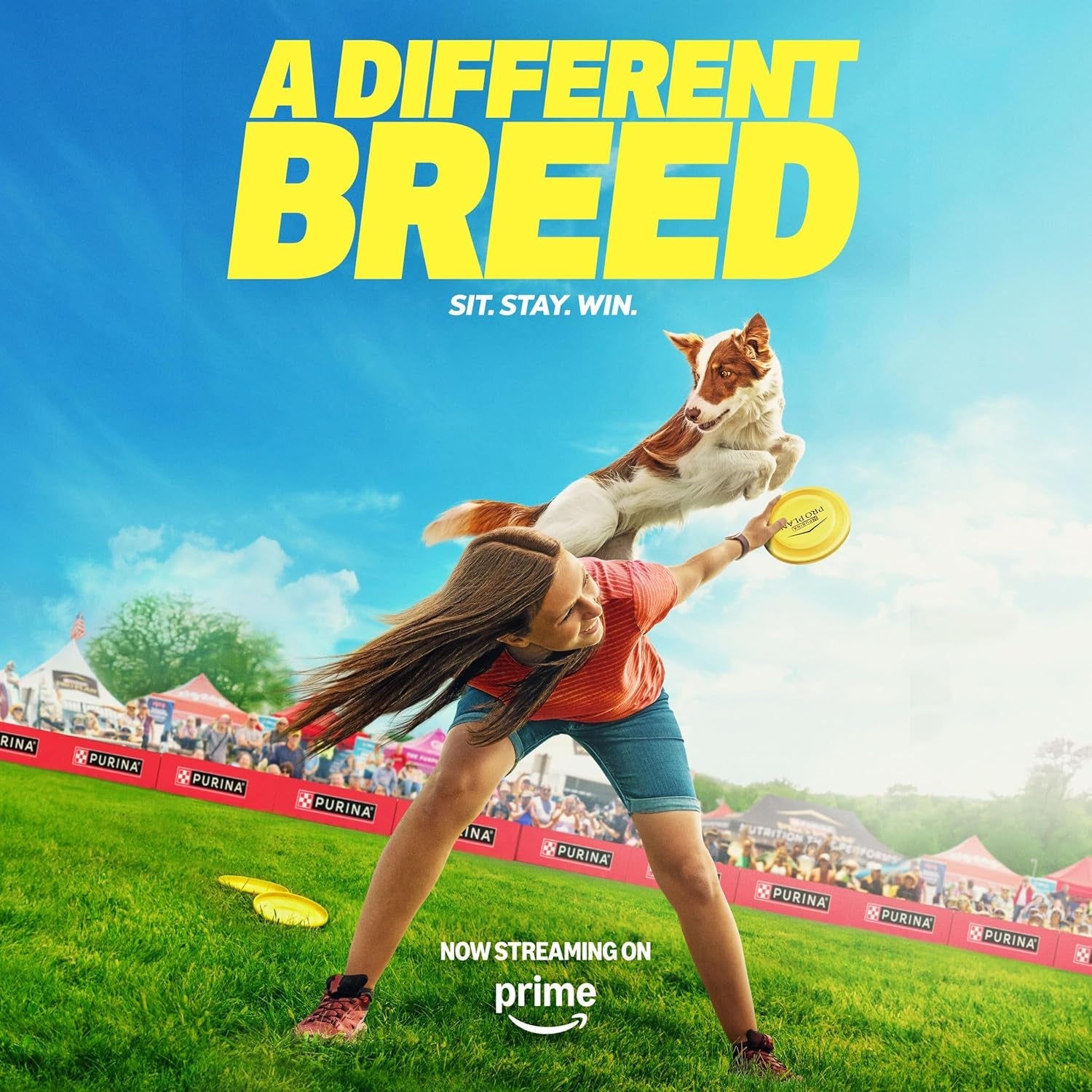 Wet Puppy Food Pate, Wet Food Classic Chicken and Rice Entrée - (Pack of 12) 13 Oz. Cans - pet needs744759309631Wet Puppy Food Pate, Wet Food Classic Chicken and Rice Entrée - (Pack of 12) 13 Oz. CansChicken, Rice13 Ounce (Pack Of 12)13 Ounce (Pack Of 12)pet needs