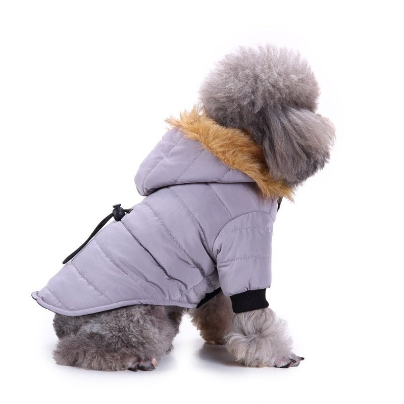 Winter Clothing for Pets - pet needs705353403965Winter Clothing for PetsLGreenGreenpet needs