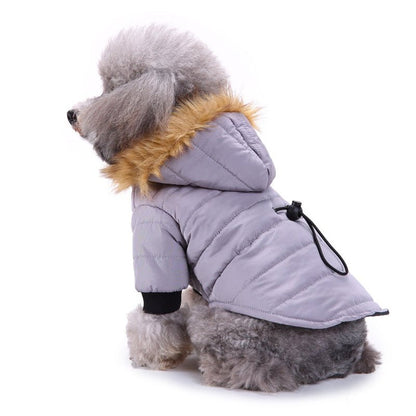 Winter Clothing for Pets - pet needs705353403965Winter Clothing for PetsLGreenGreenpet needs