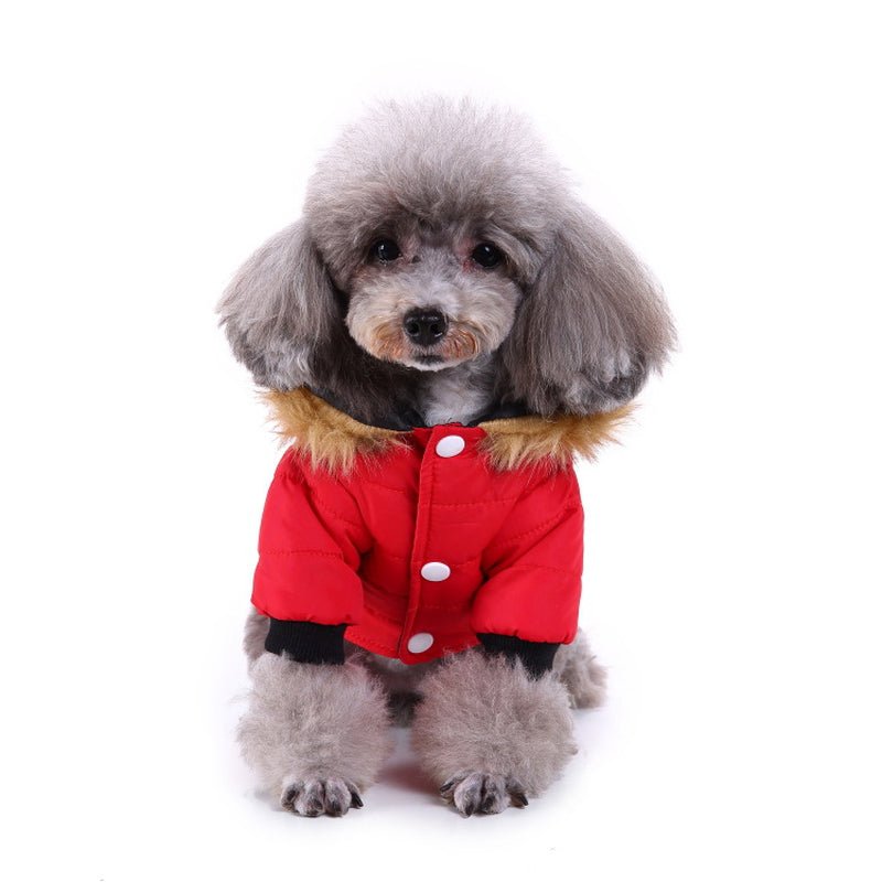 Winter Clothing for Pets - pet needs705353403965Winter Clothing for PetsLGreenGreenpet needs