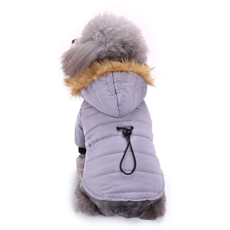 Winter Clothing for Pets - pet needs705353403965Winter Clothing for PetsLGreenGreenpet needs