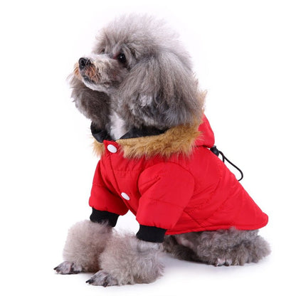 Winter Clothing for Pets - pet needs705353403965Winter Clothing for PetsLGreenGreenpet needs