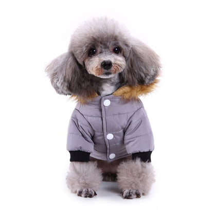 Winter Clothing for Pets - pet needs705353403965Winter Clothing for PetsLGreenGreenpet needs