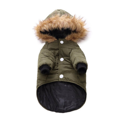 Winter Clothing for Pets - pet needs705353403965Winter Clothing for PetsLGreenGreenpet needs
