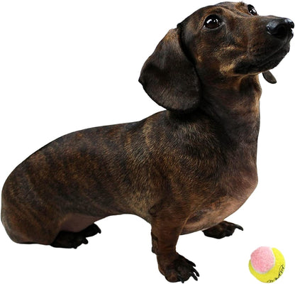 X - Small Dog Tennis Balls 1.5" Pack of 12 - Puppy Mini Fetch Pet Little Tennis Balls - Yellow/Pink - pet needs313089534503X - Small Dog Tennis Balls 1.5" Pack of 12 - Puppy Mini Fetch Pet Little Tennis Balls - Yellow/PinkPinkpet needs
